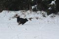 franzi-badberka (9)